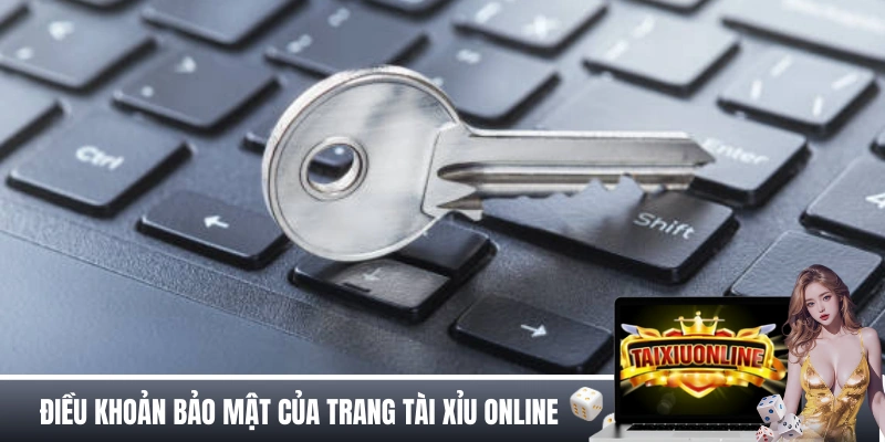 Các điều khoản bảo mật của trang tài xỉu online