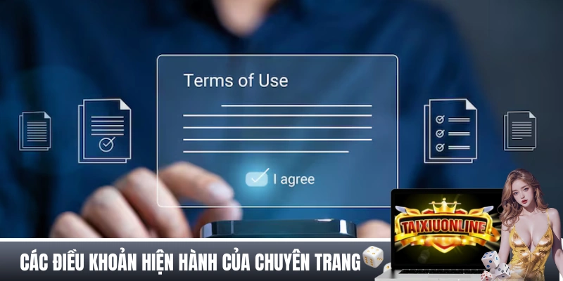 Nội dung các điều khoản hiện hành của chuyên trang