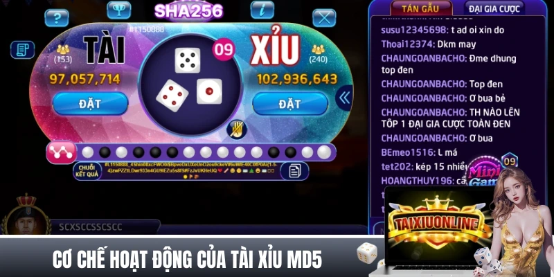 TRANG CHỦ Cơ chế hoạt động của phiên bản tài xỉu MD5